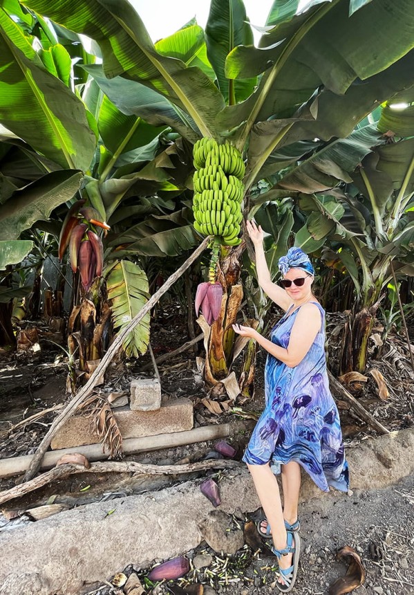 meduzy sukienka z bananowcem.jpg