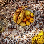 obrus Oblicze Piękna