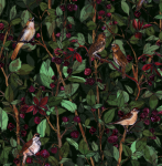 zielone słowiki.png