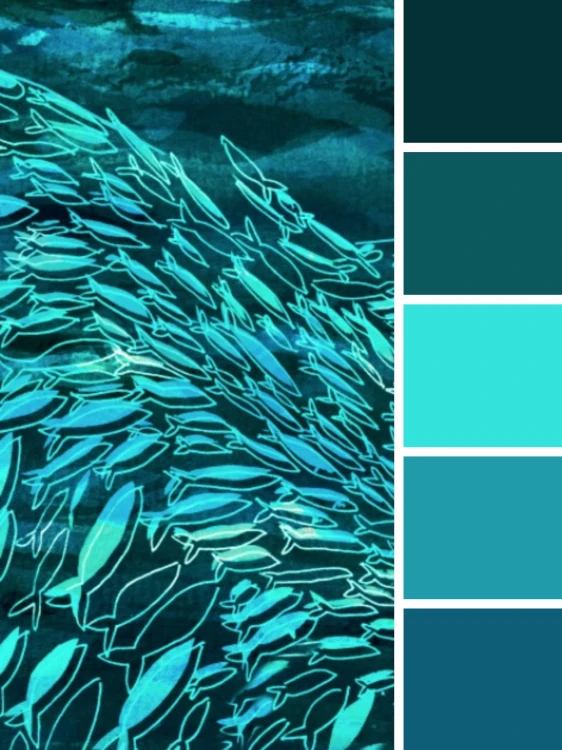 collage (35).jpg