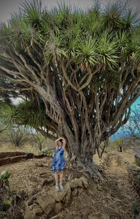 16227DAF-06AF-470A-81AB-F2C379363D64.jpeg