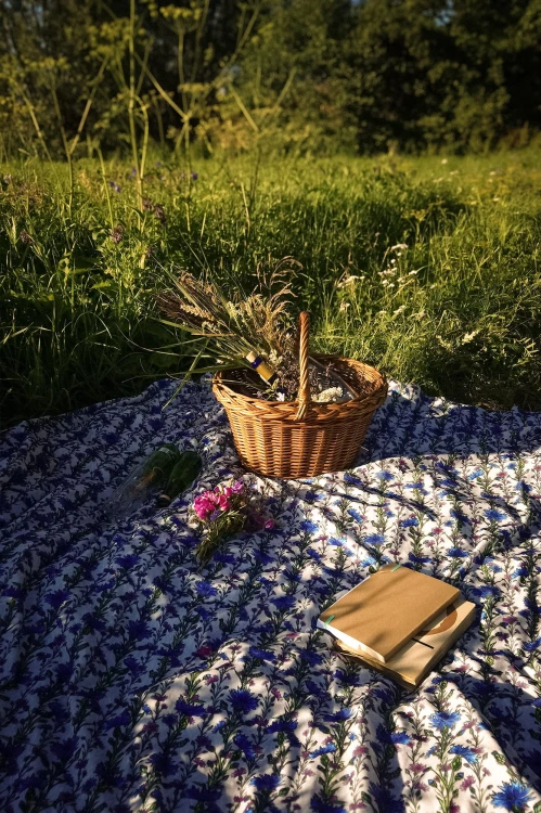 NAWROTANKA piknik łąka kwietna.jpg