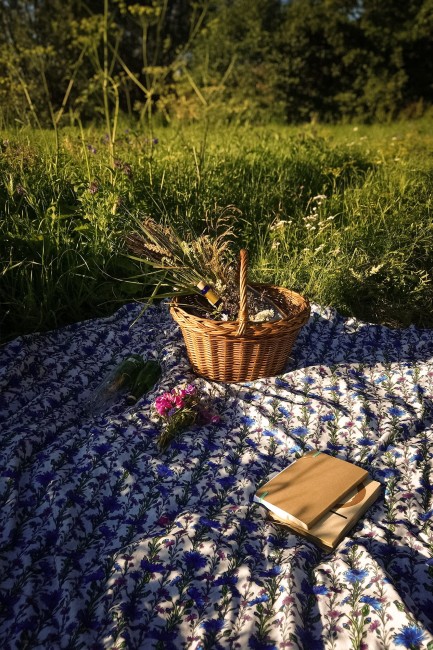 NAWROTANKA piknik łąka kwietna.jpg