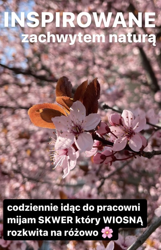 inpirowane zachwytem naturą.jpg