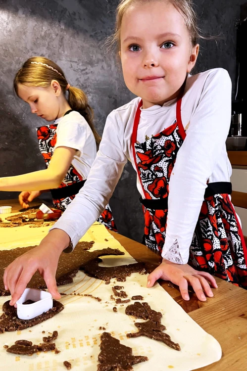 fartuszek w maki (3).jpg