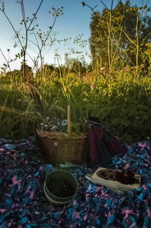 NAWROTANKA-piknikowy-koc-myszki-w-jezynach-2.jpg