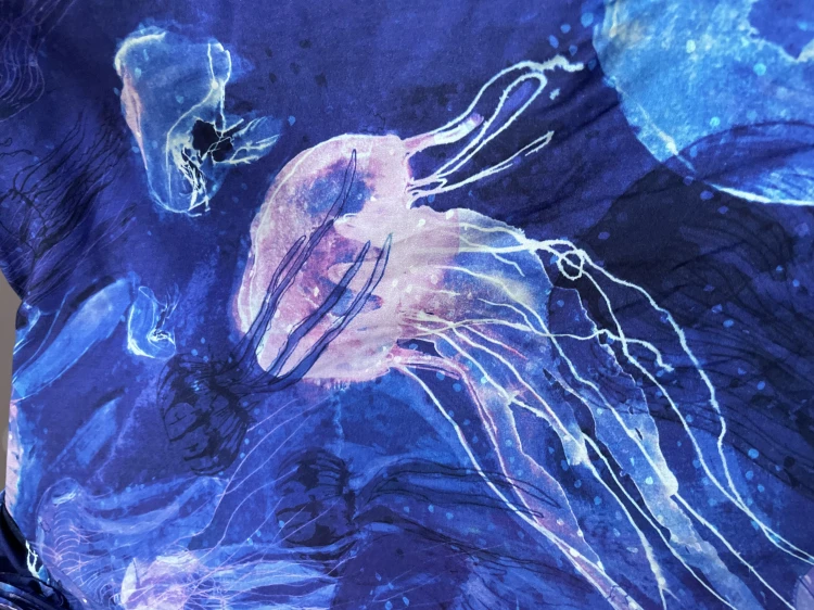 meduzy (1).jpeg