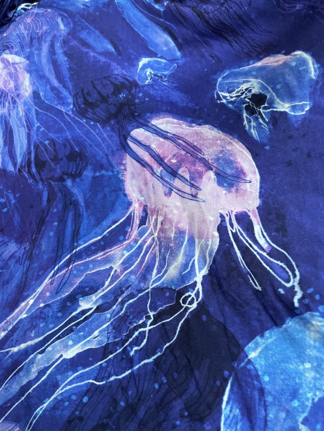 meduzy (1).jpeg