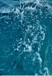 IMG_2874.JPEG