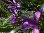 7D504C07-4DFA-46FF-8B5D-A27630EB17FA.jpeg