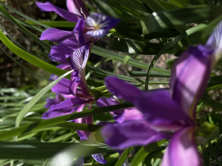 7D504C07-4DFA-46FF-8B5D-A27630EB17FA.jpeg