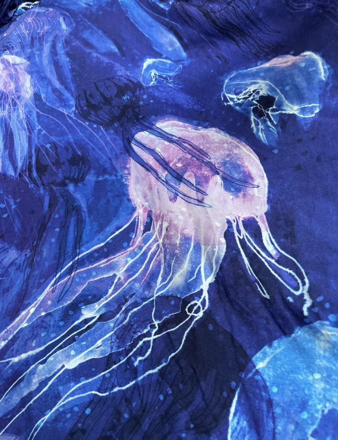 meduzy (1).jpeg