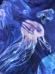 meduzy (1).jpeg