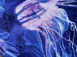 meduzy (14).jpeg