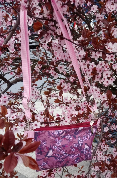 organizer bordo1