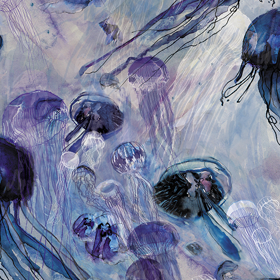 meduzy